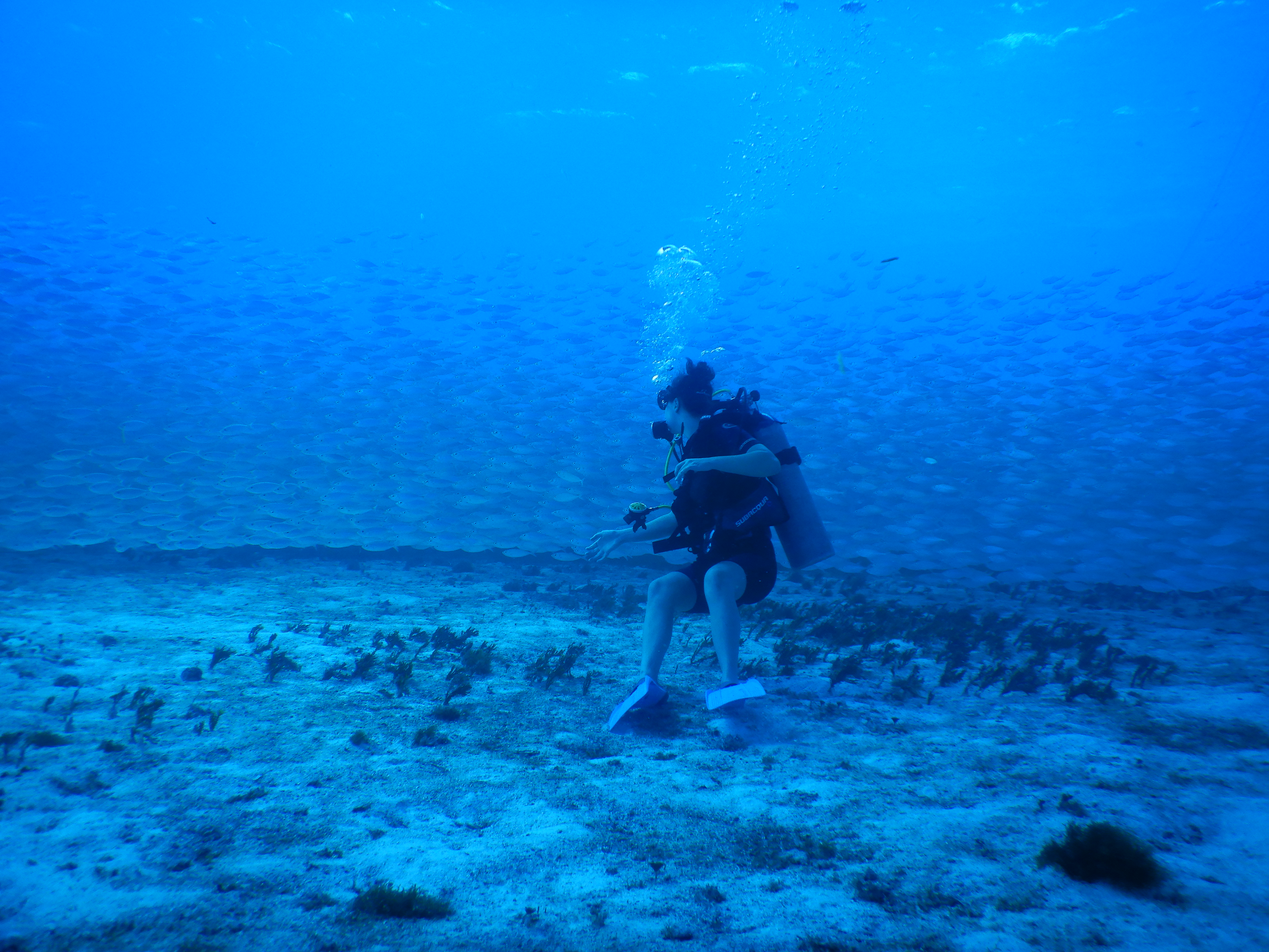 Dive Photo 10